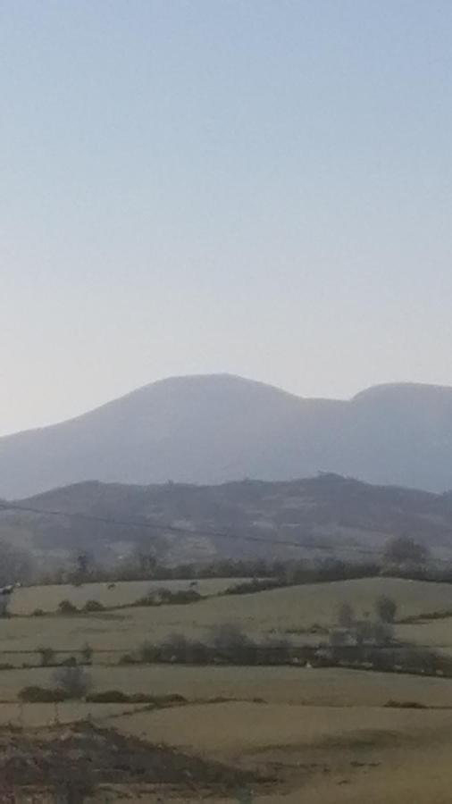 Bed and Breakfast Mountainview Ballyward Exteriér fotografie