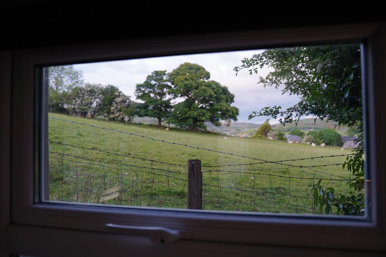 Bed and Breakfast Mountainview Ballyward Exteriér fotografie