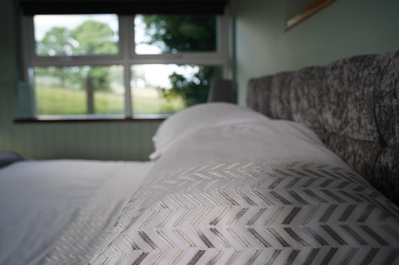 Bed and Breakfast Mountainview Ballyward Exteriér fotografie