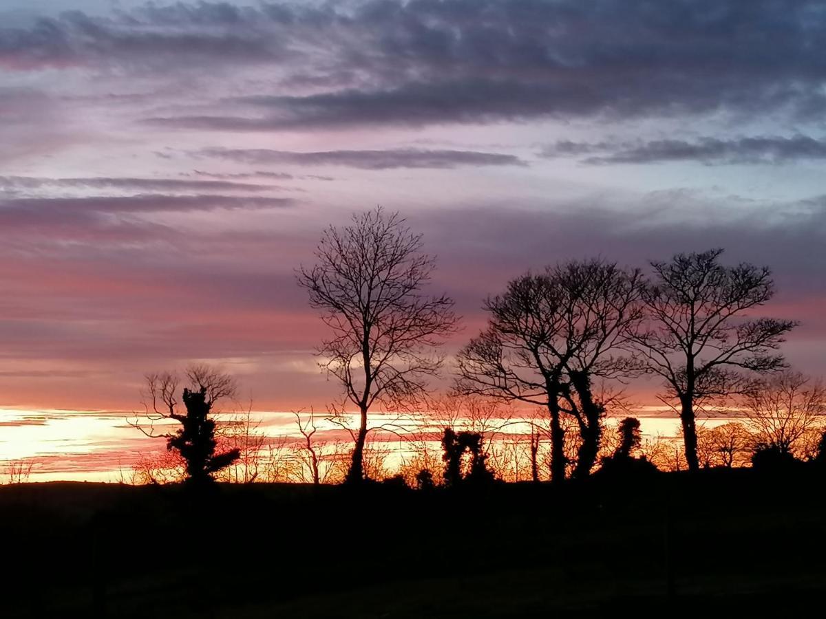 Bed and Breakfast Mountainview Ballyward Exteriér fotografie
